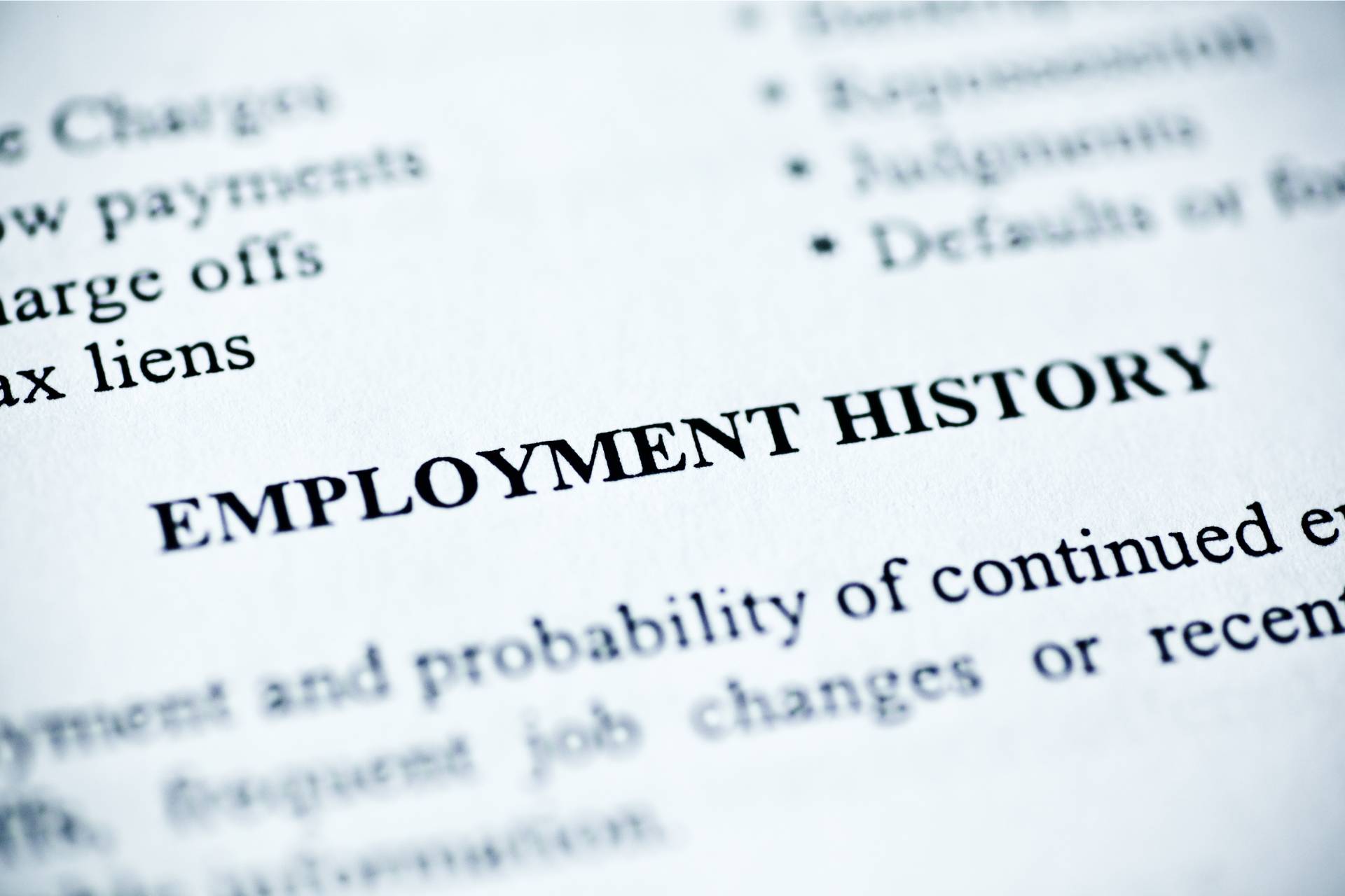 employment history